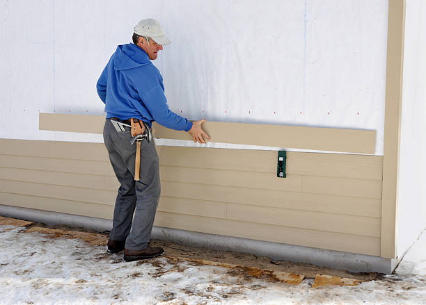 Best Brick Veneer Siding  in Robie Creek, ID