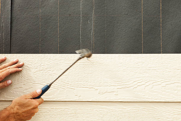 Affordable Siding Repair and Maintenance Services in Robie Creek, ID